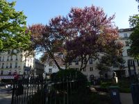 Tag 4 01.05.2023  St. Germain-des-Prés, Stadtführung 