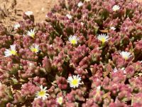 Tag 2 - Impressionen 