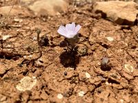 Tag 2 - Überlebenskünstler