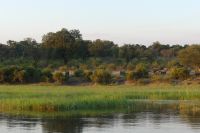 Bootsfahrt auf dem Okavango...Elefanten am Ufer