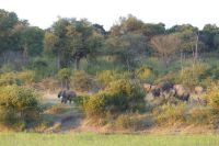 Bootsfahrt auf dem Okavango