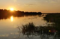Bootsfahrt auf dem Okavango