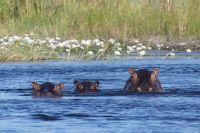 Bootsfahrt auf dem Kwando