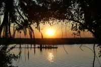 Sonnenuntergang am Chobe