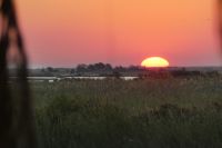 Sonnenuntergang am Chobe