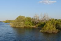 Bootsfahrt auf dem Sambesi