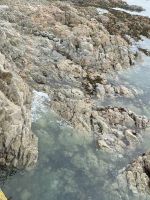 Felsformationen Elizabeth Castle