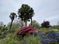 Howard Davis Park in St. Helier
