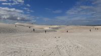 Rundreise Australien - Stopp bei den White Sands-Dünen