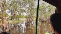 Rundreise Australien - Fahrt zur Bootsanlegestelle des Yellow River
