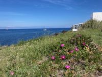 6. Tag – Freizeit auf Stromboli – Blick zum Meer