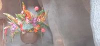 Orchideen Hoeve