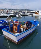 Ein Fischerboot im Hafen von Vieste