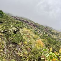 In der Nähe von Sabinosa