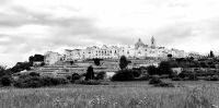 Blick auf Locorotondo 