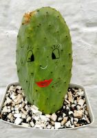 Wanddekoration in Alberobello aus echter Kaktusfeige