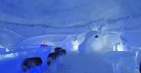 Bar im Schneehotel