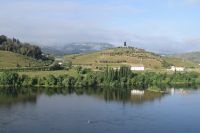 Blick über den Douro bei Regua