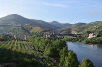 Blick über den Douro bei Regua