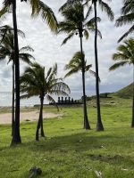 Zu Besuch am Traumstrand Anakena