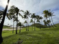 Zu Besuch am Traumstrand Anakena