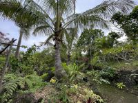 Zu Besuch im Botanischen Garten von Hanga Roa