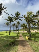 Baden am Anakena Strand
