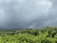 Wanderung auf der Isla Lobos