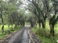 Fahrt zur El Chato Ranch 