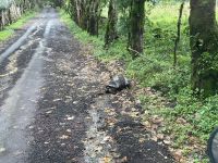 Fahrt zur El Chato Ranch 