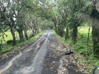 Fahrt zur El Chato Ranch 