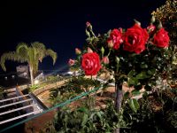 Blick vom Balkon des Hotelzimmers (1)