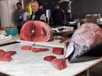 Sightseeing in Palermo (7)