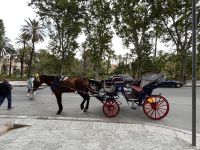 Sightseeing in Palermo (20)