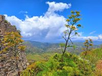 071 Kalabrien Gerace Blick von den Burgruinen