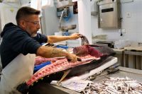 Thunfisch fachmännisch zerteilt