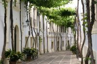 ehemalige Gasse in Jerez - heute Weingut