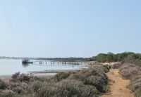 Landschaft im Donana NP
