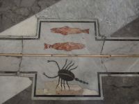 Palermo - Kathedrale - die einzigartige Sonnenuhr - Meridiane und Sternzeichen