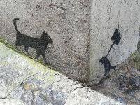 Montalbano Elicona - hier ist es wohl für die Katzen gefährlich