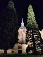 Palacio de Anaya, Salamanca (rechts ein kalifornischer Mammutbaum (Sequoiadendron giganteum oder Sequioa sempervirens (Redwood)))