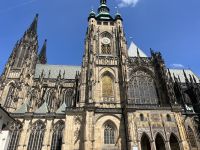 IMG 4729
