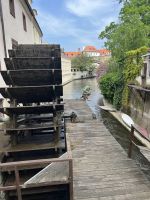 IMG 4779