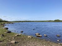 9. Reisetag – Spaziergang im Coole Park – Turlough