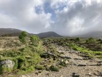 5. Reisetag – Aussichtspunkt am Croagh Patrick – Beginn des Pilgerpfads