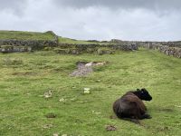 6. Reisetag – Wanderung auf den Aran Islands