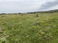 6. Reisetag – Wanderung auf den Aran Islands