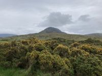 7. Reisetag – Wanderung im Connemara-Nationalpark auf den Diamond Hill