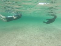 Schnorcheln vor der Isla Lobos