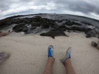 Auf Tuchfühlung mit den Seelöwen auf Mosquera Island